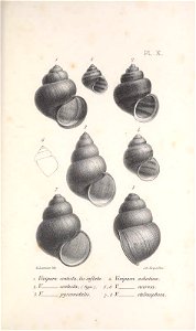 n330_w1150