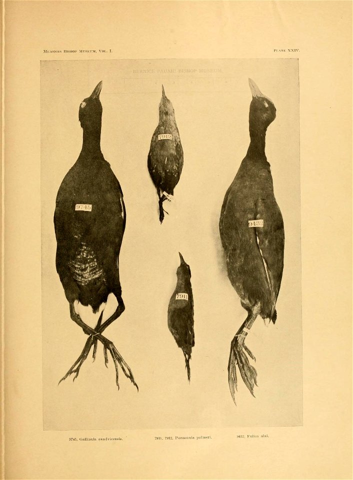 n102_w1150