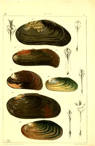 n504_w1150