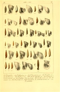 n590_w1150