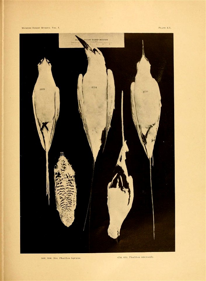 n94_w1150