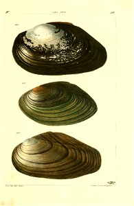 n526_w1150