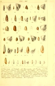 n584_w1150