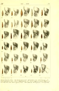 n554_w1150