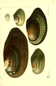 n524_w1150