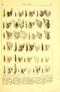 n582_w1150