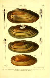 n576_w1150