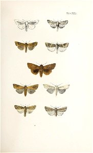 n116_w1150