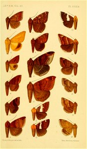 n122_w1150