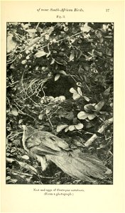 n66_w1150