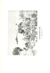 n532_w1150