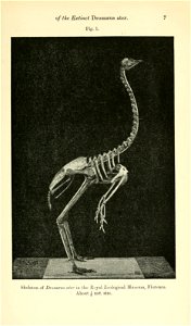 n46_w1150