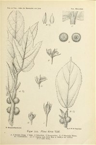 n428_w1150