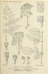 n208_w1150