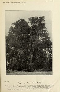n350_w1150