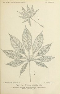 n194_w1150