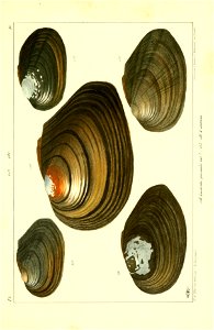 n546_w1150