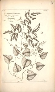 n173_w1150