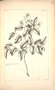 n113_w1150