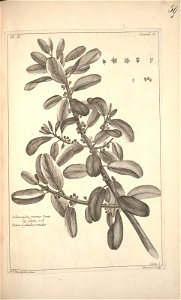 n157_w1150