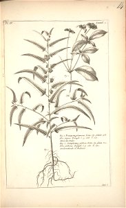 n112_w1150