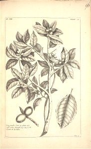 n96_w1150