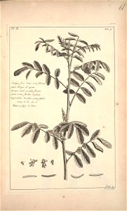 n81_w1150