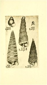 n294_w1150