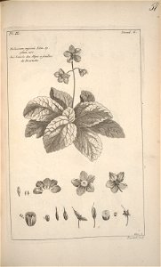 n156_w1150