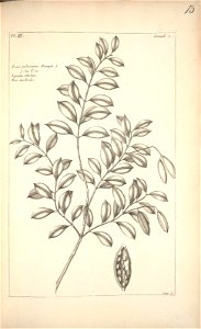 n111_w1150