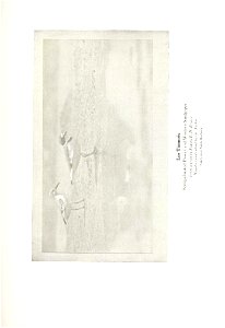 n406_w1150