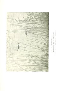 n258_w1150