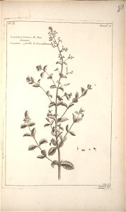 n291_w1150
