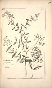 n169_w1150