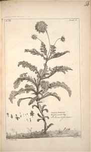 n154_w1150