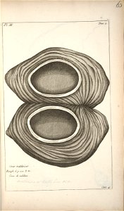n63_w1150