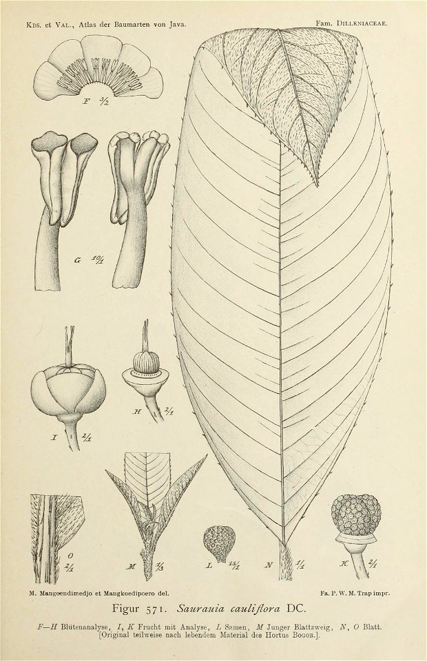 n378_w1150