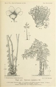 n376_w1150