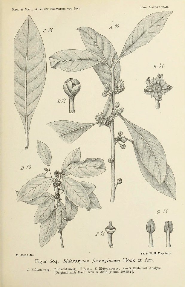 n68_w1150