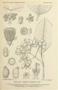 n216_w1150