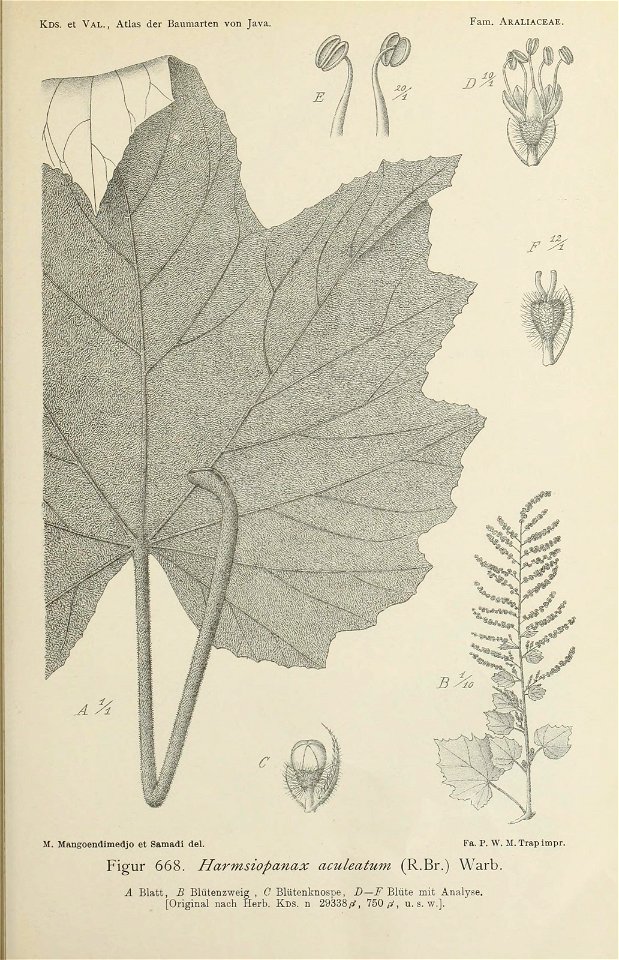 n202_w1150