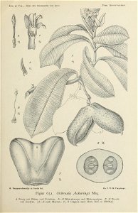 n122_w1150