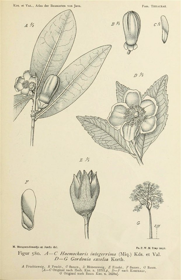 n396_w1150