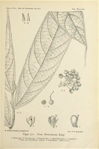 n418_w1150
