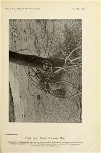n404_w1150