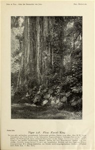 n348_w1150