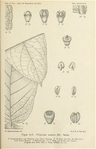 n222_w1150