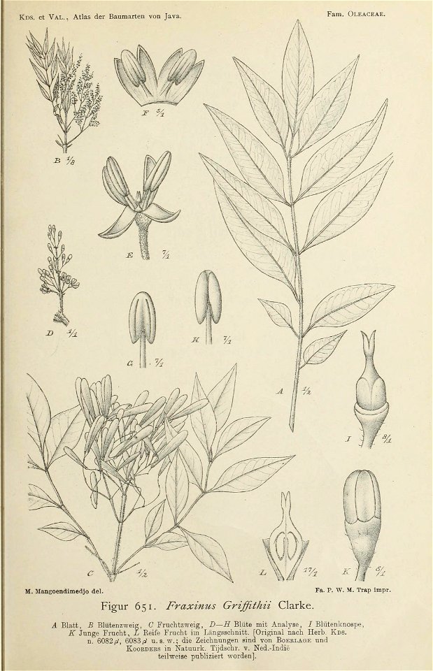 n168_w1150