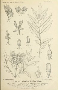 n168_w1150