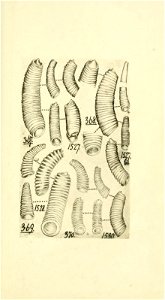 n174_w1150